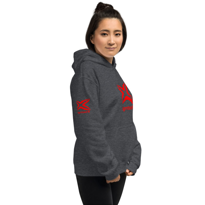 Unisex Hoodie - Image 10