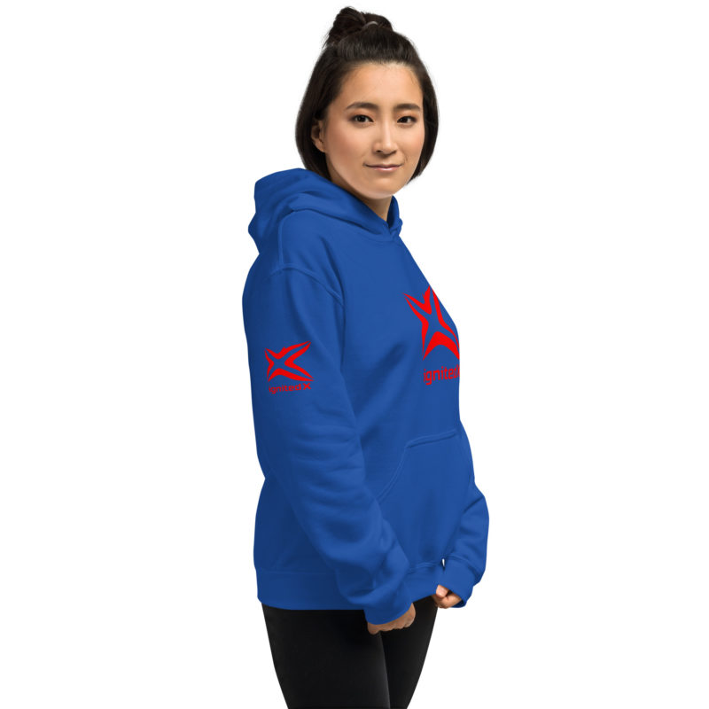 Unisex Hoodie - Image 12